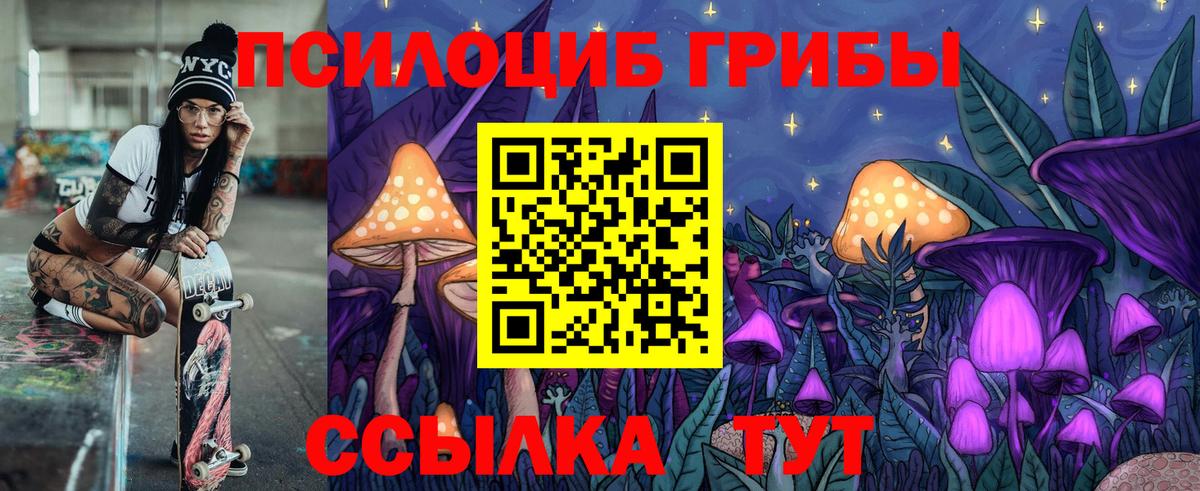 Электрогорск  Псилоцибиновые грибы Cubensis  Вход с VPN 